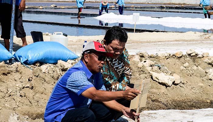 Anggota 3 BPK RI Meninjau Langsung Proses Panen Garam PT Garam