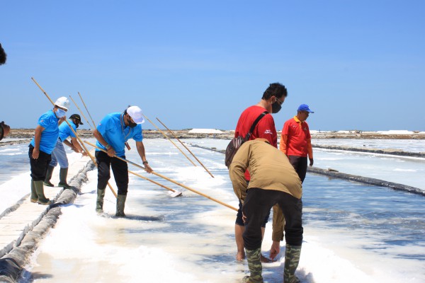 Pengembangan Teknologi Salt Quality Booster untuk Meningkatkan Kadar NaCl Garam