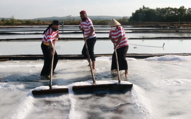 PT Garam sudah capai 5900 Ton Garam Bahan Baku