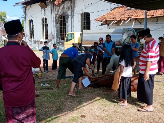 PT Garam Sebar Hewan Kurban untuk Masyarakat